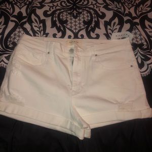 🔵DENIM SHORTS🔵